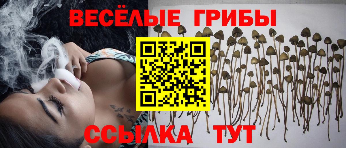 Галлюциногенные грибы MAGIC MUSHROOMS  Галлюциногенные грибы ЛСД  Омск  Вход с VPN 
